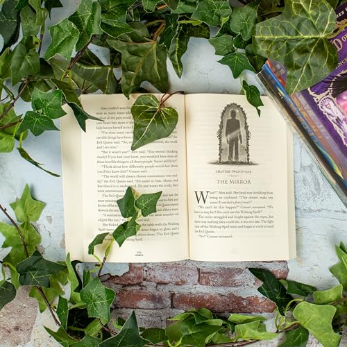 Image of The Wishing Spell