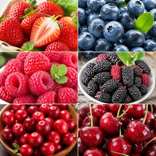 1500 Berry Seeds Variety Pack - Strawberry (400) Blueberry (200) Raspberry (300) Mulberry (300) Cranberry (200) and Cherry Seeds (20) for Planting Non-GMO Heirloom Fruit Seeds for Home Garden