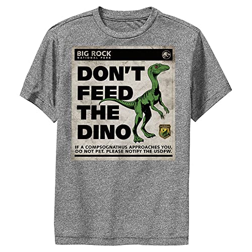 T-shirt Jurassic World garçon gris anthracite grande taille pour enfant