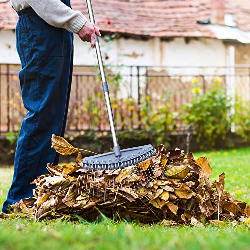 Colwelt Thatch Rake -24 Steel Tines, Dethatching Rake with 54’’ Lightweight Stainless Steel Handle, Yard Dethatcher Rake for Lawn(Pine Needles, Dead Grass, Thatch, Leaves, Mulch)