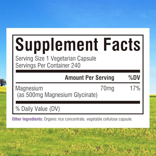 Image of Innate Vitality Magnesium Glycinate 500mg | 70mg Elemental Magnesium Supplement - High Absorption, Non Buffered, Non-GMO & No Gluten - Vegan - Nerve Health - 240 Capsules (Pack of 1)
