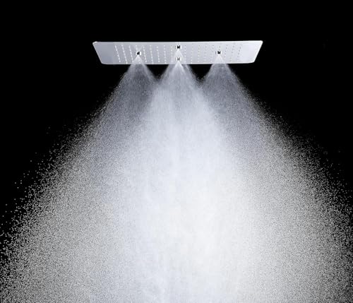 Image of Aquieen 2 inlet rain and mist shower SS304 Ceiling Shower (16 inch X 16 inch Rain + Mist)