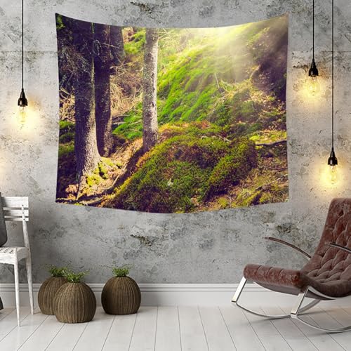 Tenture murale grand format 350x256 cm pour masquer les murs - 3