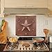 Kitchen Backsplash, Metal Texas Star Kitchen Backsplash, Customizable Copper Backsplash Panel, Handmade Copper Backsplash Tile, Indoor Outdoor Wall Decor (Copper)