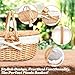 Hap Tim Wicker Picnic Basket for 2 with Lid - Unique Gifts Ideas for Couple, Engagement, Wedding, Bridal Shower, Family, Christmas - White Elephant Gifts for Adults(Y2408-B1)