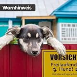 SL group - 1 Schild 'Vorsicht! Freilaufender Hund!' 30 x 20 cm aus stabiler PVC Kunststoff-Platte - Warnschild Achtung Wachhund Betreten auf eigene Gefahr - Warnung vor freilaufenden Hunden