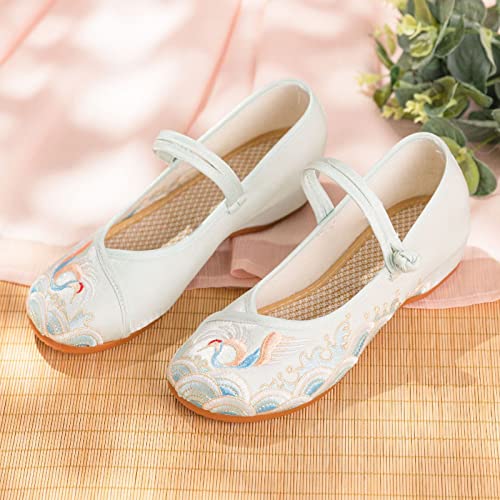 eYLun Chinese Embroidered Shoes for Women Round Toe Mary Jane Shoes Floral Slip On Loafers Comfort Ballet Flats2