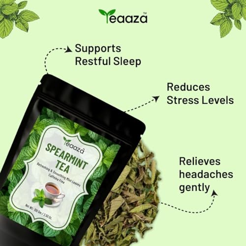 Image of Teaaza Organic Spearmint Tea Leaves - Pack of 2 x 100 Grams-200 Cups-Caffeine-Free Herbal Spearmint Tea for PCOS | SUPPORTS HORMONE BALANCE, ACNE, FACIAL HAIR & PCOS RELIEF | Fresh Minty Flavor, 100% Natural, Spearmint leaves | loose leaf spearmint herbal tea - 2 Months Budget Pack