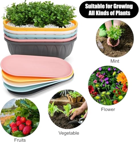 Image of StyleX Store Plastic Rectangle Round Corner Flower Pots with Drainage Hole Saucers Durable Outdoor Indoor Planters with Tray Plant Containers for Balcony, Garden, Home & Office (Set of 5 Sky Blue)
