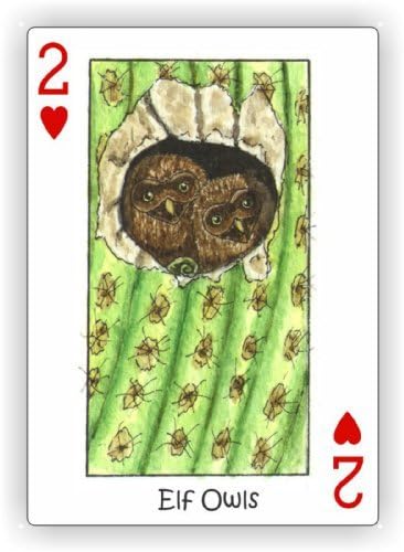 Wild! Deck of Playing Cards - Features Wild Animal Artwork by Peter Wood with a Unique Seek-N-Find Feature Where You find Hidden Images