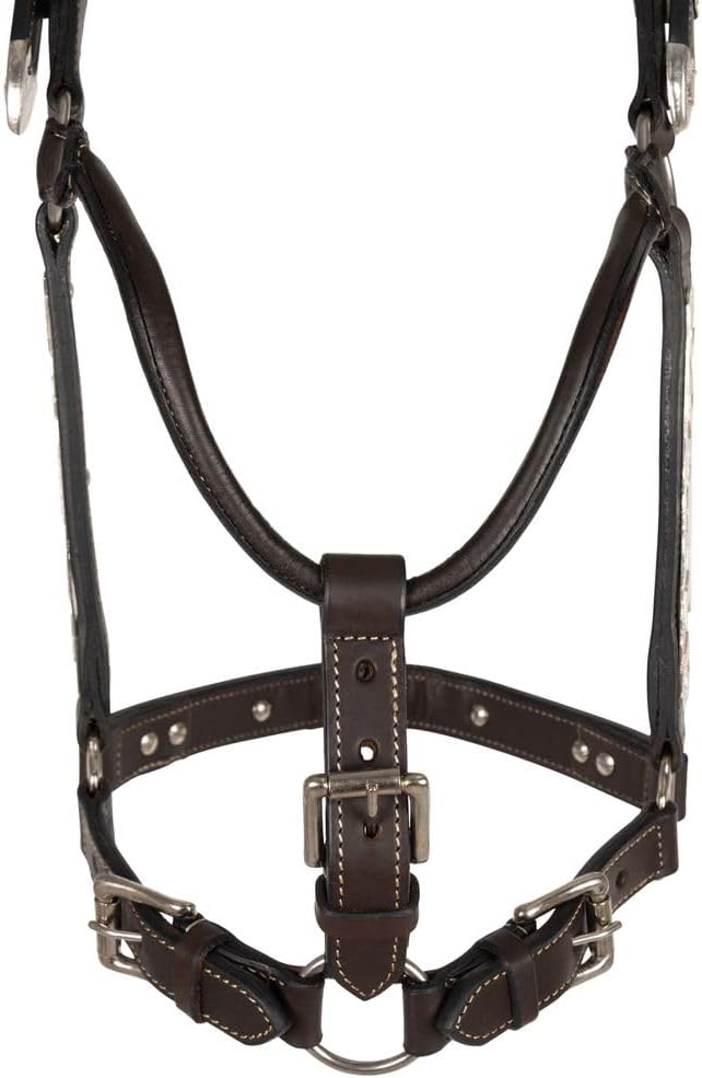 Schneiders Phoenix Silver Show Halter for Horses with Lead - Lightly Blemished | Hand-Engraved Silver & Gold Southwest Accents | Soft Argentine Leather Comfort Fit | Color Dark Oil | Size Full Horse