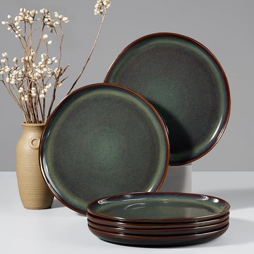 HaWare Stoneware Dinner Plates Set of 6, 10" Heavy Duty Ceramic P...