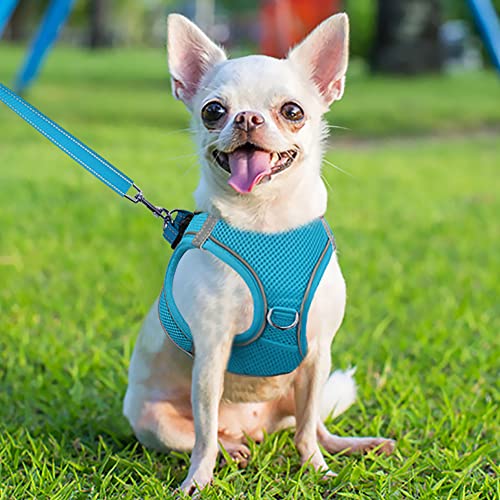 Joytale Step in Dog Harness,Soft Mesh Reflective Breathable Vest Harnesses,Easy Walk Harness with Safety Buckle for Puppies and Extra Small Dogs,XS,Sky Blue - Image 2