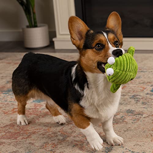 Image of goDog PlayClean Germs Squeaky Plush Dog Toy with Odor-Eliminating Essential Oils, Chew Guard Technology - Green, Large