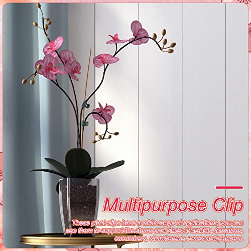 Pinenuts 100 Stück Orchideen Klammern Pflanzenclips, 1.5 cm Dunkelgrüne Orchideen Clip Kunststoff Pflanzenklammern für Unterstützen und Halten Pflanze