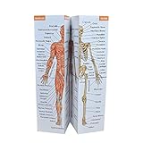 Human Anatomy Study Cube | Study 9 Parts of The Human Body | Perfect Anatomy Revision Guide | Addictive Anatomy Model Cube | Great Gift for Nurse, Dentist, Medical Students