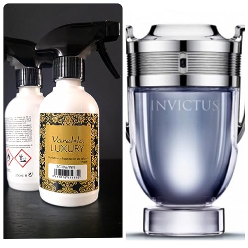 T.DRYER FRESH Désodorisant de luxe super concentré 250 ml SC1967WN type Invictus