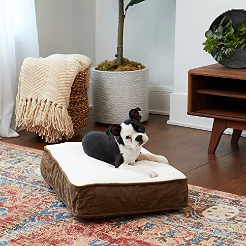 South Pine Porch Buddy Rectangle Pillow Style Dog Bed, Latte, Extra Small (18" x 24") - Image 2