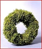 Flores Frescas Online Coronas de Musgo Natural 20 cm (2 Unidades) Portes Gratis