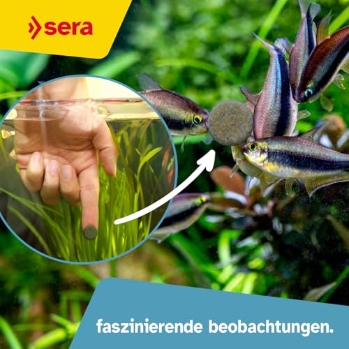 sera Spirulina Tabs Nature 24 Tabs (15 g) - Hafttabletten mit 24 % Spirulina für eine gesunde Verdauung und Vitalität, Futtertabletten Aquarium