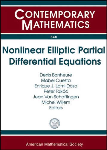 Amazon.com: Nonlinear Elliptic Partial Differential Equations: Workshop ...