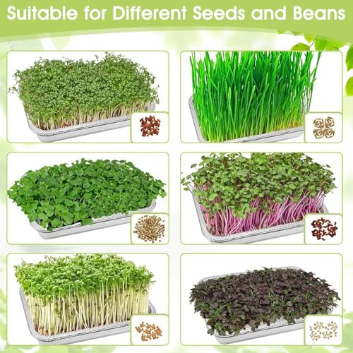 2er Set Sprossen-Anzuchtset mit Edelstahlsieb, 32x22 cm Keimschalen Set zur Anzucht von Sprossen, Katzengras, Kresse & Microgreens, Profi Wiederverwendbare Hydrokultur-Anzuchtschale,Kresseschale