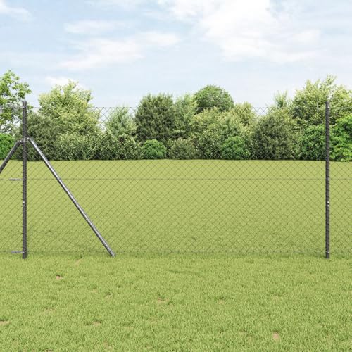 Zaun Grau 10 x 1 m Metall, Zaunstangen Maschendrahtzaun Drahtzäune Gartenzaun für Hof Hühnerstall Weidezaun42004810