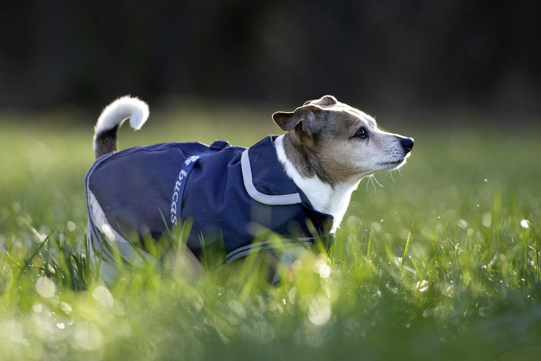 Bucas Hundemantel Freedom, Blau, Größe XXL, Länge 60 cm, Halsumfang 64 cm