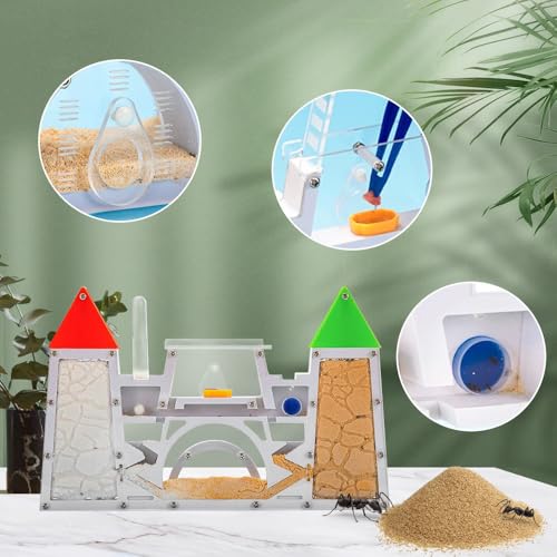 ELNMLHT Ant Farm Kit for Kids, Sand Ant Colony Ant Farms Terrarium Kit for Kids, Educational & Learning Science Kit Toy for Boys, Girls & Adults (Red Green) - Image 6
