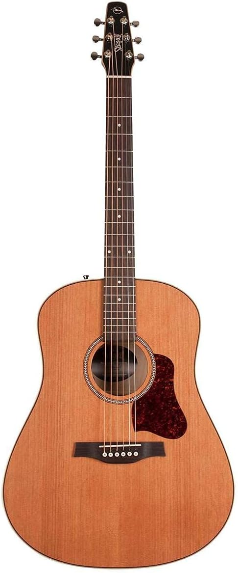 Seagull Coastline Momentum High Gloss Acoustic Electric Guitar