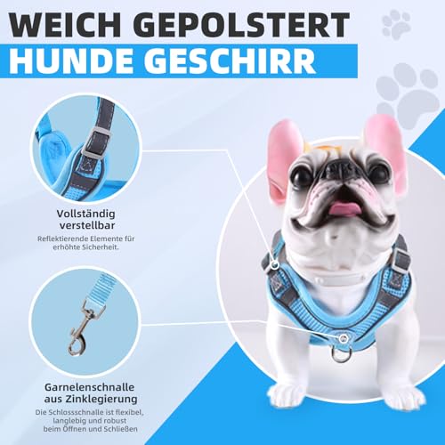 Hundegeschirr mit Hundeleine Set, Air-Mesh Atmungsaktiv Brustgeschirr für Kleine, Mittelgroße Hunde & Welpen, Weich Gepolstert Einstellbar Reflektierend Geschirr (Blau, S)