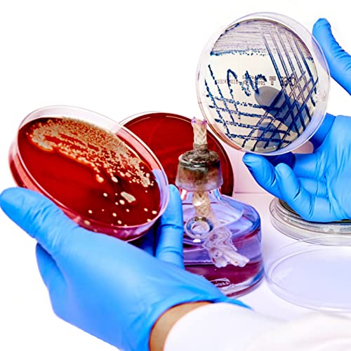 Sterile Plastic Petri Dishes With Lids, 50 Pack 90 X 15Mm Clear Sterile Container, Petri Plates For Lab Experiment, Microbiology Studies, School Science Projects #TOP6
