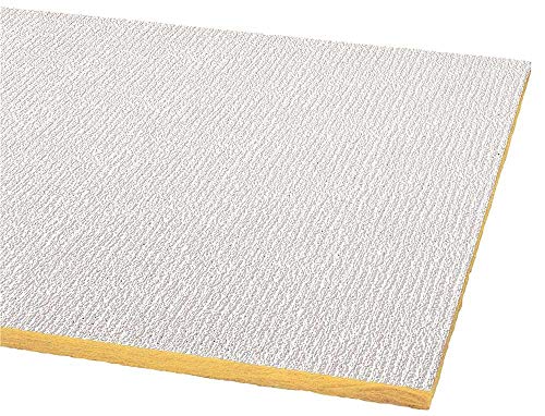 Armstrong World Industries BPGR2907 Acoustical Ceiling Panel 2907 Shasta Unperforated Humiguard Plus Lay in (16 per Case), 24