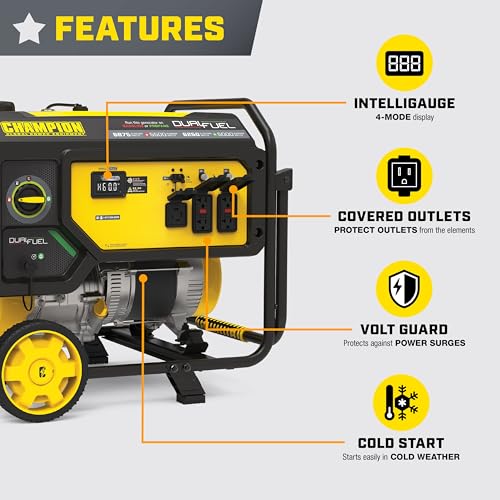 Champion 6875-Watt Dual-Fuel Portable Generator with CO Shield