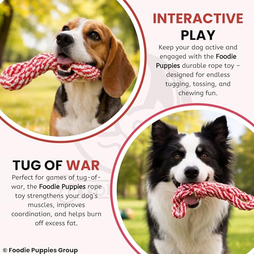 Image of Foodie Puppies Durable Cotton Rope Chew Toy for Dogs (Corn Stick) | Chewing, Fetching, Playing, Teething & Training for Small to Medium Dogs & Puppies (Color May Vary)
