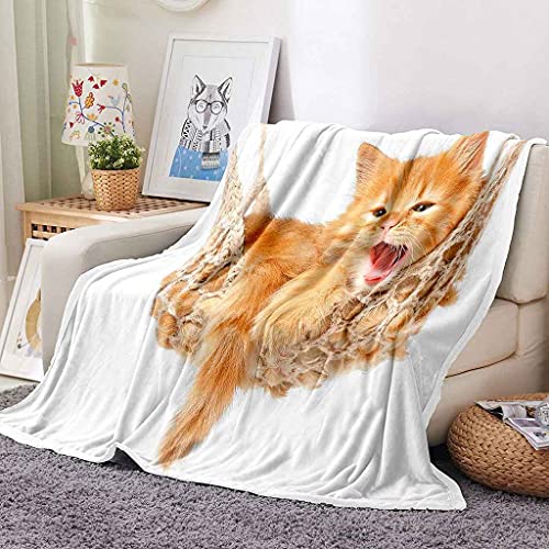 Couverture chaton dore en microfibre pour vos soirees cocooning - 3
