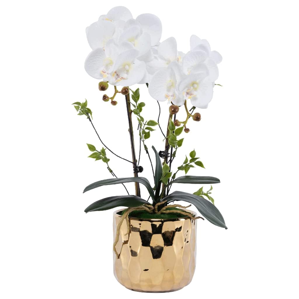 XDLEDMKIZ Orchid Artificial Flowers Potted Faux Orchids Artificial Phalaenopsis Flowers in Gold Porcelain Pot Durable for All Seasons Artificial Flowers natural look