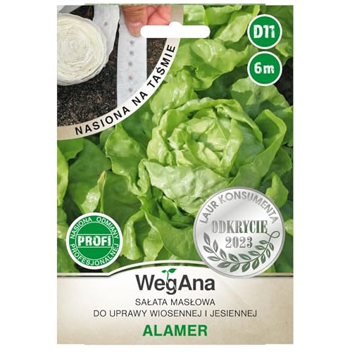 WegAna lechuga mantequilla Alamer cinta de semillas 6m semillas, semillas hortícolas semillas de propagación para invernadero jardín lechuga