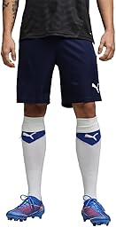 Puma - Teamliga Shorts, Men's Shorts