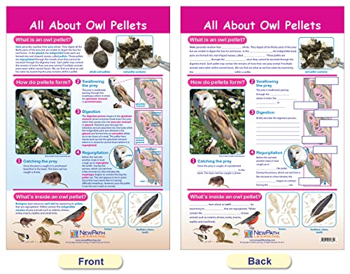 Newpath Learning Owls & Owl Pellets Bulletin Board Charts, Set/5 - Laminated, Double-Sided, Full-Color, 12" X 18" (94-7006) #TOP4