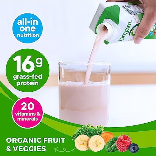 Orgain 851770003087 Organic Nutritional Protein Shake thumb #2