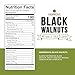 Hammons Fancy Large Black Walnuts -Wild Harvested - Non-GMO - Gluten-Free - High Protein - Keto Snack - Nuts for Cooking and Baking - 5Lb Box