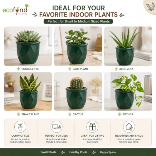 Image of ecofynd 4 Inch Ceramic Plant Pots with Drainage Hole, Modern Decorative Clay Flower Pots for Indoor Plants, Home Garden Decor for Living Room, Bedroom & Interior Spaces (Pack of 2, CPOT043-DGN)