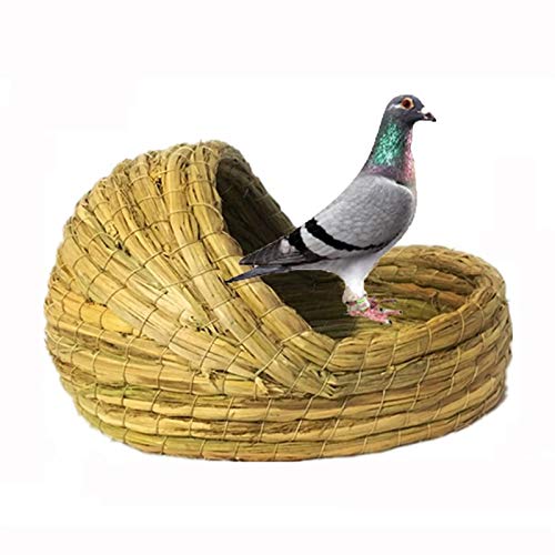 Nichoir avec nid d'oiseau pour cages à oiseaux et élevage de perroquets
