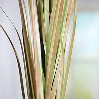 Factory Direct Craft Tall Dried Look Artificial Grass Bush | Size: 41