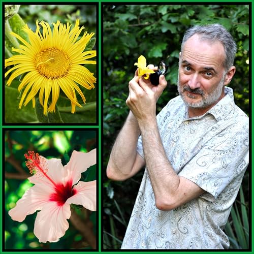 David George Haskell: Flowers and the Revolutionary Power of Beauty Podcast Por  arte de portada
