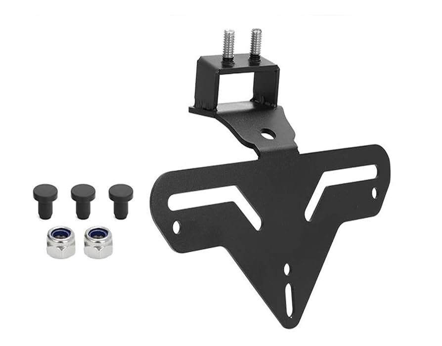 ワチュゴンドゥー♡様L メーカー在庫あり】 99662 デイトナ ナンバープレートホルダーL