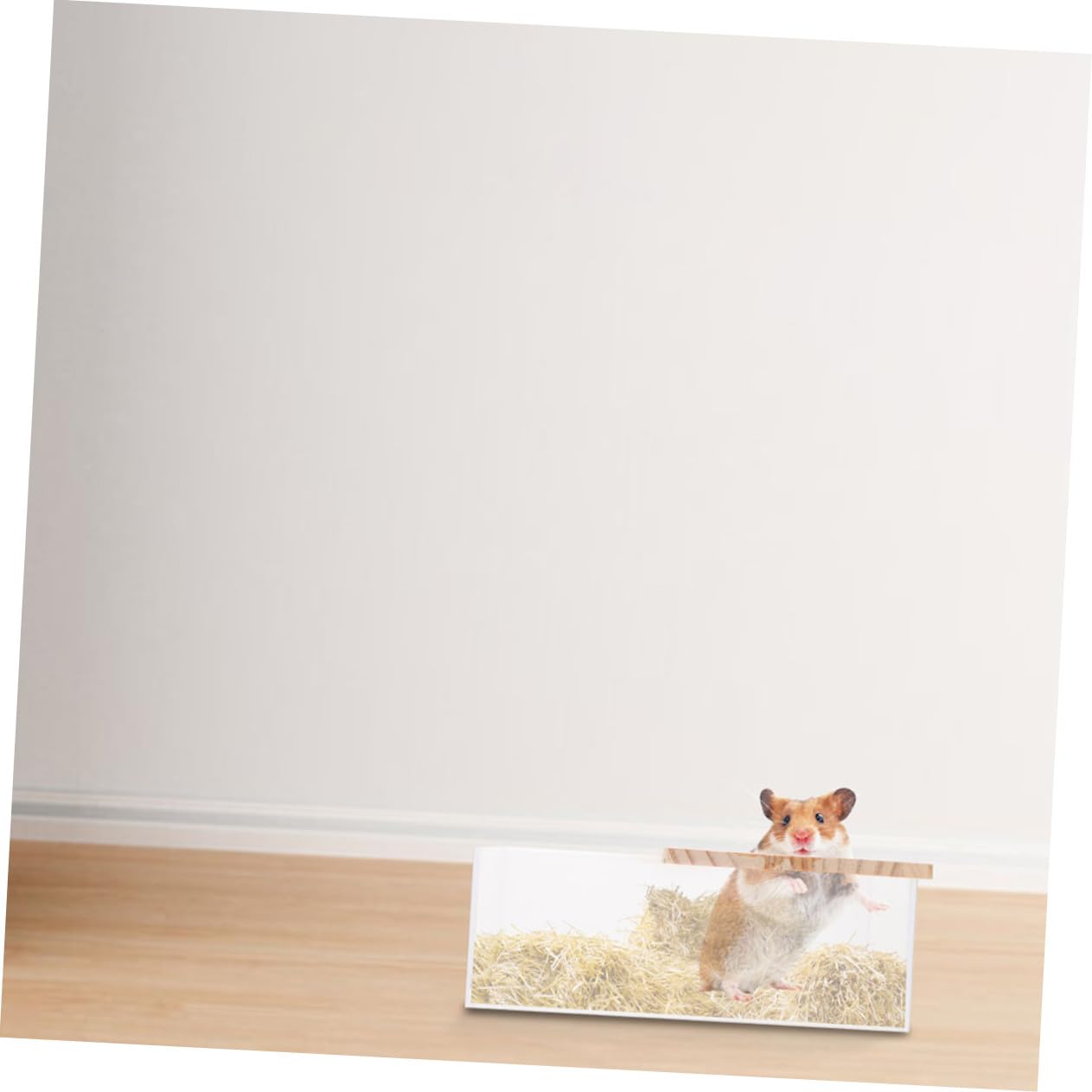 2 Stück Transparente Hamster Sandbadbox aus mit Holzabdeckung und Belüftung Robustes Kleintier Bad für Chinchillas Mäuse Ratten Geräumige Haustier Waschbox
