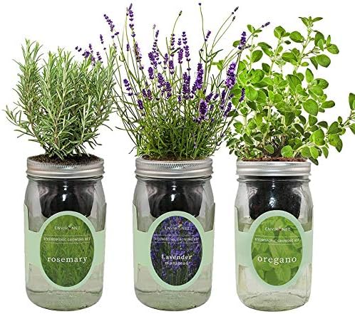 Environet Hydroponic Herb Growing Kit Set, Self-Watering Mason Jar Herb Garden Starter Kit Indoor, Windowsill Herb Garden, Grow Your Own Herbs from Seeds (Rosemary, Lavender, Oregano)
