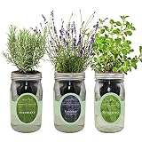 Environet Hydroponic Herb Growing Kit Set, Self-Watering Mason Jar Herb Garden Starter Kit Indoor, W